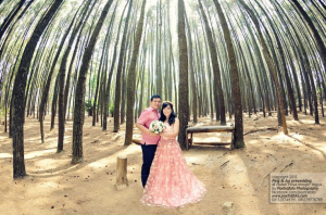 Hutan Pinus Imogiri, Lokasi Foto Prewedding Gratis di Jogja