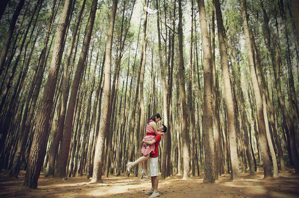 Wisata Hutan Pinus Mangunan, Berburu Ketenangan di tengah Hutan Kota Bantul