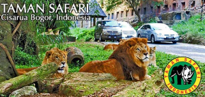 Obyek Wisata canik di Bogor