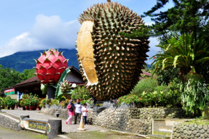 Daftar Obyek Wisata Cantik di Bogor