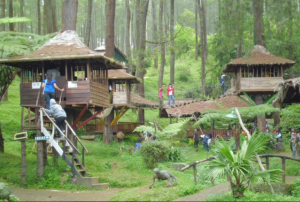 Lokasi Tempat Wisata Rumah Pohon Jetiasih Bekasi