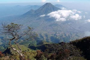 Jalur Gunung Arjuno tertinggi Ke 4 di Jawa